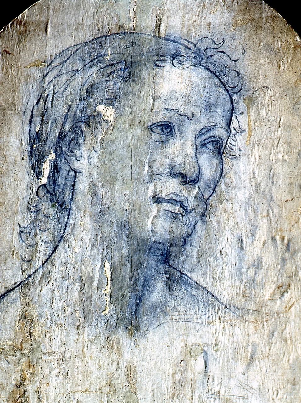 Filippo Lippi - Testa di santo